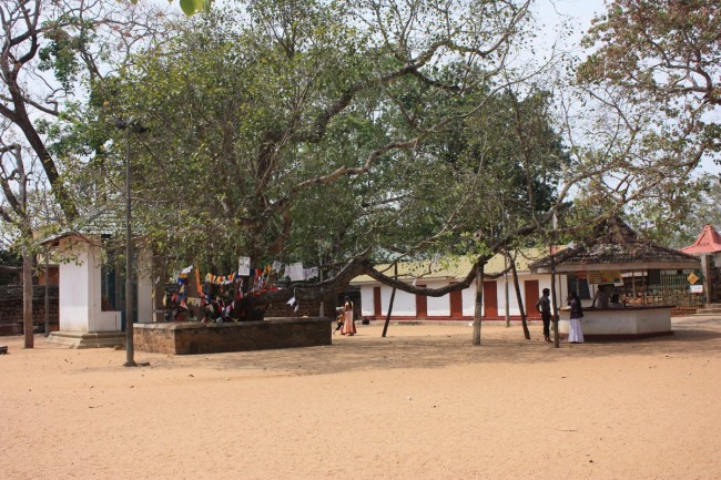 Анурадхапура – древнейшая столица буддизма